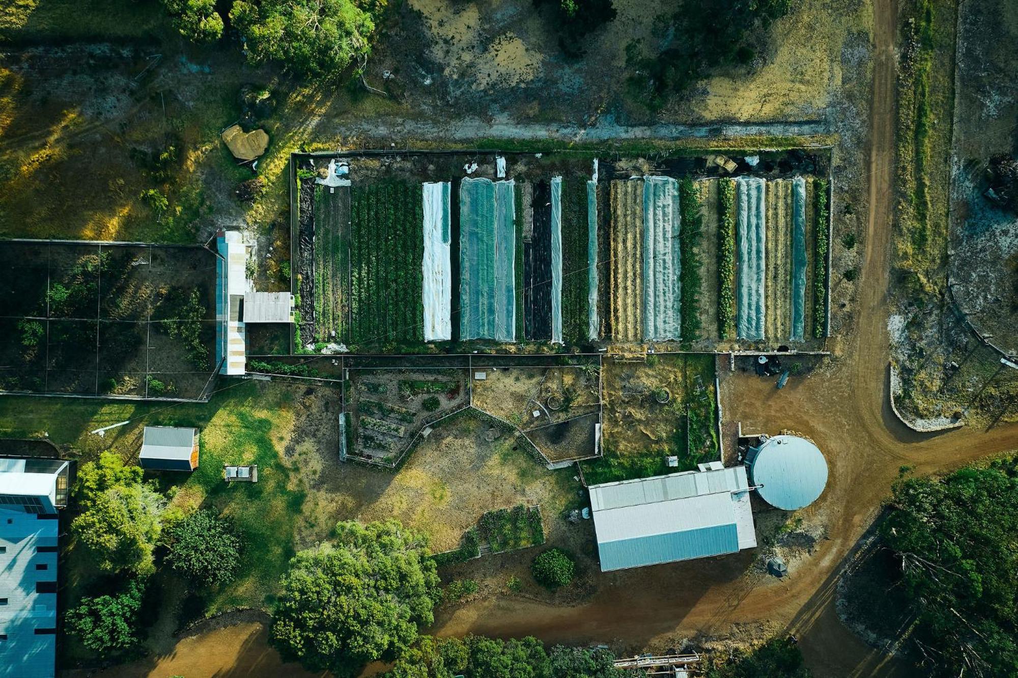 Villa Burnside Organic Farm à Margaret River Extérieur photo